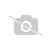 Aitoviiniköynnös 'Adalmiina', 2 L - Kärhöt ja köynnökset - 6417189248125 - 1