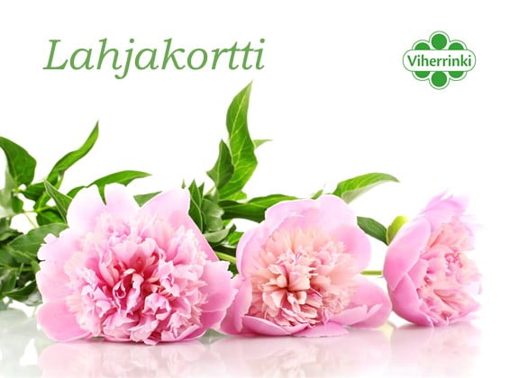 Osta lahjakortti Viherkeskus Focukseen!