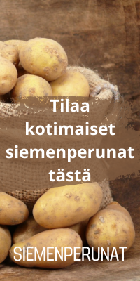 Leikkokukat
