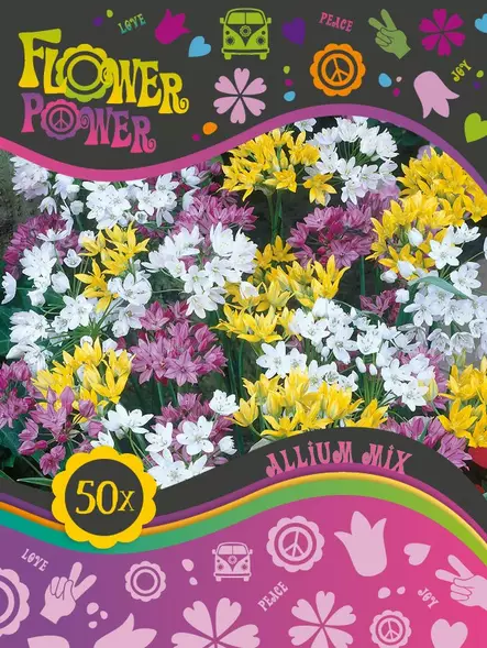 Flower Power Laukkamix 50 kpl - Syyssipulit - 8711148241850 - 1