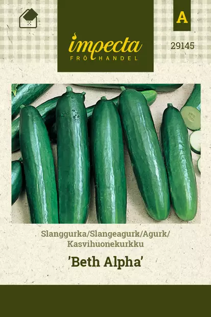 Kasvihuonekurkku 'Beth Alpha', siemen, Impecta - Vihannesten siemenet - 7332756291450 - 1