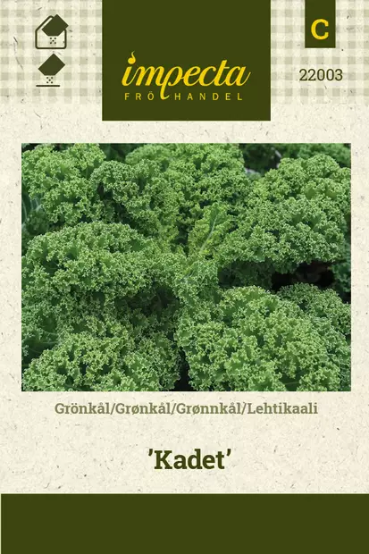 Lehtikaali 'Kadet', siemen, Impecta - Vihannesten siemenet - 7332756220030 - 1