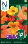 Isoköynnöskrassi väriseos, siemen, Nelson Garden - Kukkien siemenet - 7312600937840 - 1