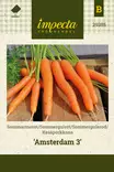 Kesäporkkana 'Amsterdam', siemen, Impecta - Vihannesten siemenet - 7332756293850 - 1