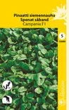 Pinaatti 'Campania F1', siemennauha, siemen, Schetelig - Annossiemenet - 6415151266900 - 1