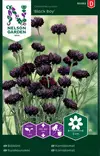 Ruiskaunokki 'Black Boy' siemen, Nelson Garden - Kukkien siemenet - 7312600933620 - 1