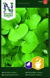 Salaattikleitonia siemen, Nelson Garden - Vihannesten siemenet - 7312600917200 - 1