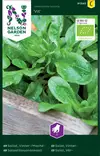 Salaattivuonankaali 'Vit' siemen, Nelson Garden - Vihannesten siemenet - 7312600913400 - 1