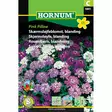 Sarjasaippo lajitelma 'Pink Pillow', siemen, Hornum - Annossiemenet - 5708787018410 - 1