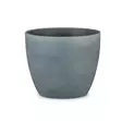 Suojaruukku Dark Stone tumma, 16 cm - Suojaruukut - 4002477589640 - 1