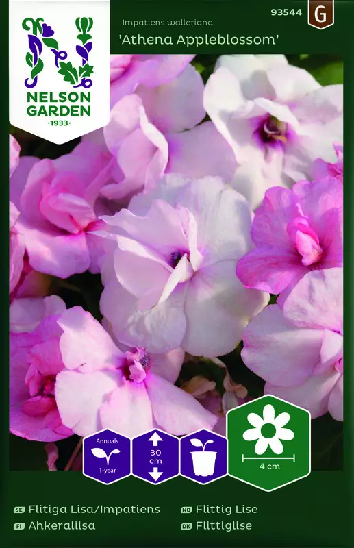 Ahkeraliisa 'Athena Appleblossom' F1 siemen, Nelson Garden - Kukkien siemenet - 7312600935440 - 1