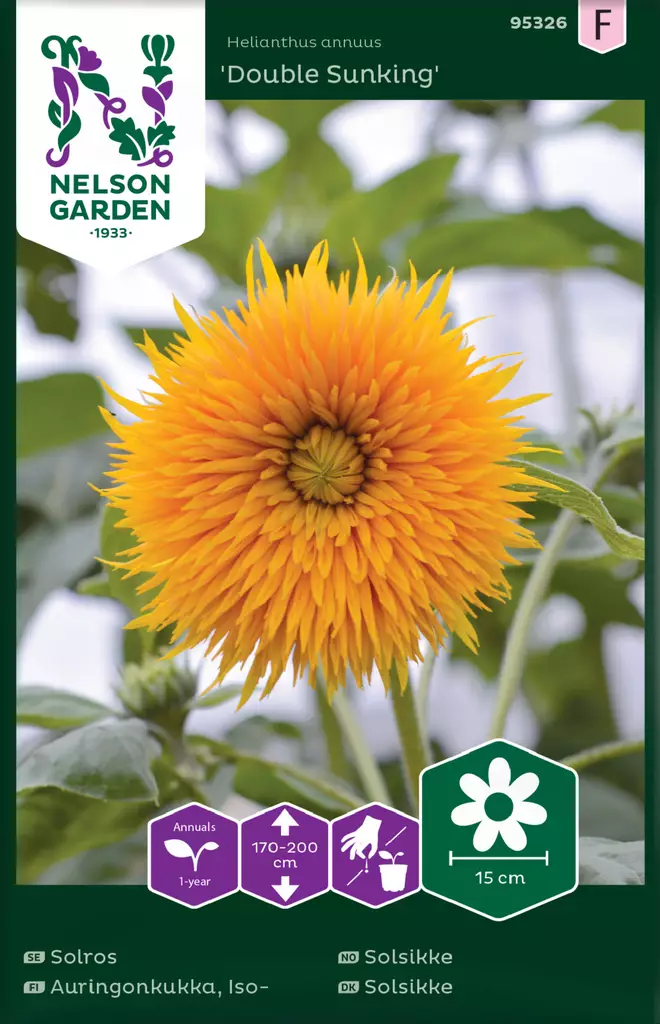 Auringonkukka 'Double Sunking' siemen, Nelson Garden - Kukkien siemenet - 7312600953260 - 1
