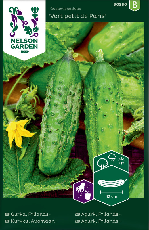Avomaankurkku 'Vert petit de Paris' siemen Nelson Garden - Vihannesten siemenet - 7312600903500 - 1