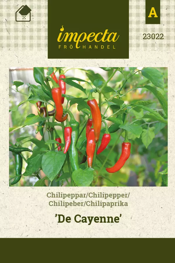 Chilipaprika 'De Cayenne', siemen, Impecta - Vihannesten siemenet - 7332756230220 - 1