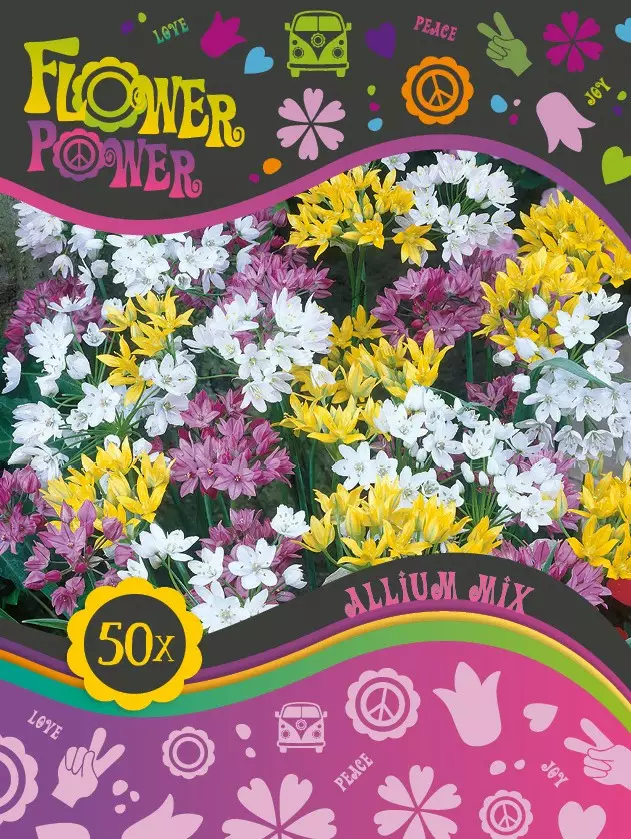 Flower Power Laukkamix 50 kpl - Syyssipulit - 8711148241850 - 1