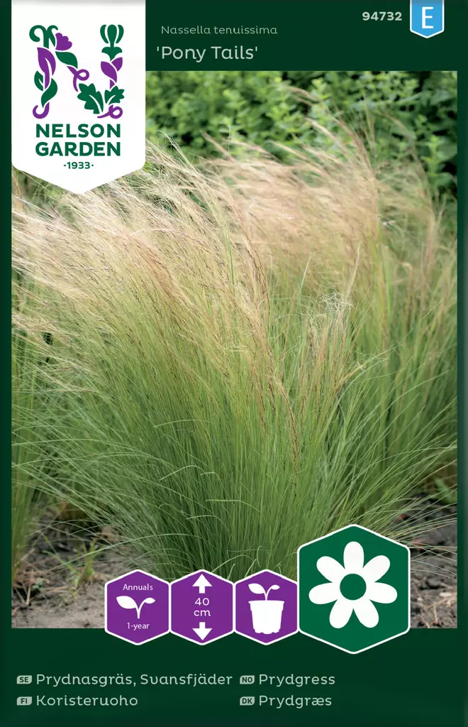 Höyhenheinä 'Pony Tails' (koristeruoho) siemen, Nelson Garden - Kukkien siemenet - 7312600947320 - 1