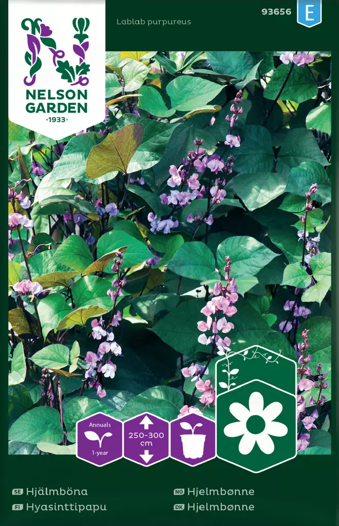 Hyasinttipapu siemen, Nelson Garden - Kukkien siemenet - 7312600936560 - 1