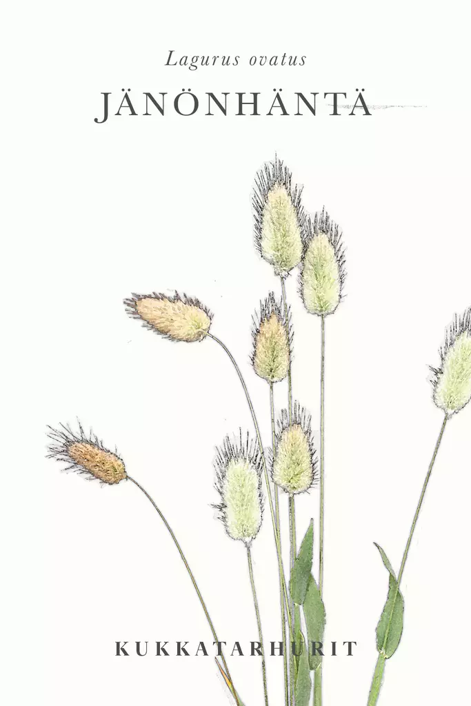 Jänönhäntä - Annossiemenet - 6430081120320 - 1