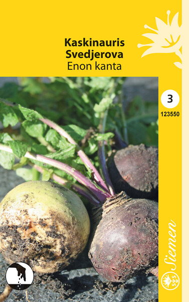 Kaskinauris 'Enon kanta', siemen, Schetelig - Annossiemenet - 6415151235500 - 1