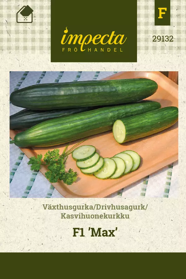 Kasvihuonekurkku 'Max', siemen, Impecta - Vihannesten siemenet - 7332756291320 - 1