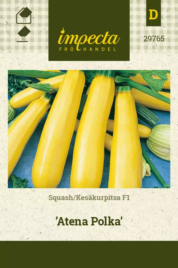 Kesäkurpitsa F1 'Atena Polka', siemen, Impecta - Annossiemenet - 7332756297650 - 1