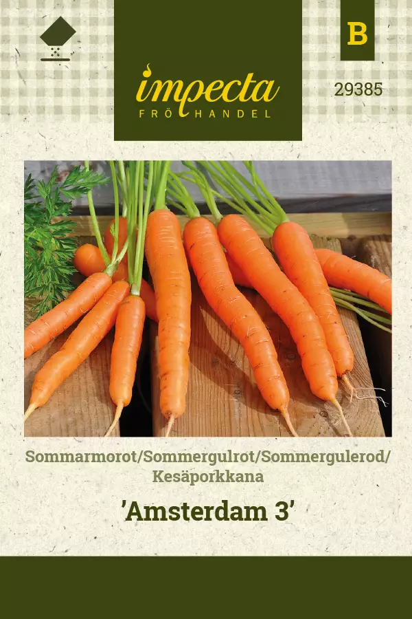 Kesäporkkana 'Amsterdam', siemen, Impecta - Vihannesten siemenet - 7332756293850 - 1