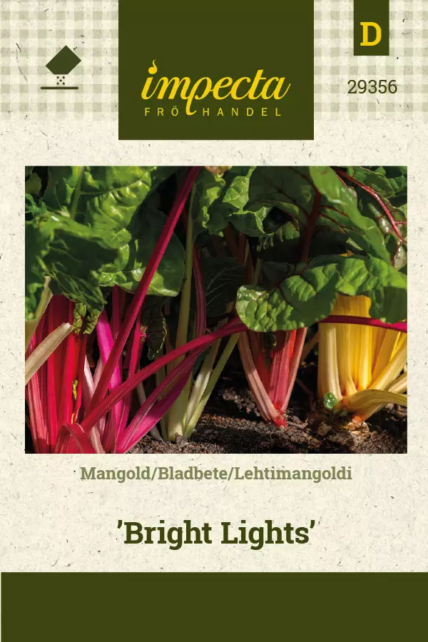 Lehtimangoldi 'Bright Lights', siemen, Impecta - Vihannesten siemenet - 7332756293560 - 1