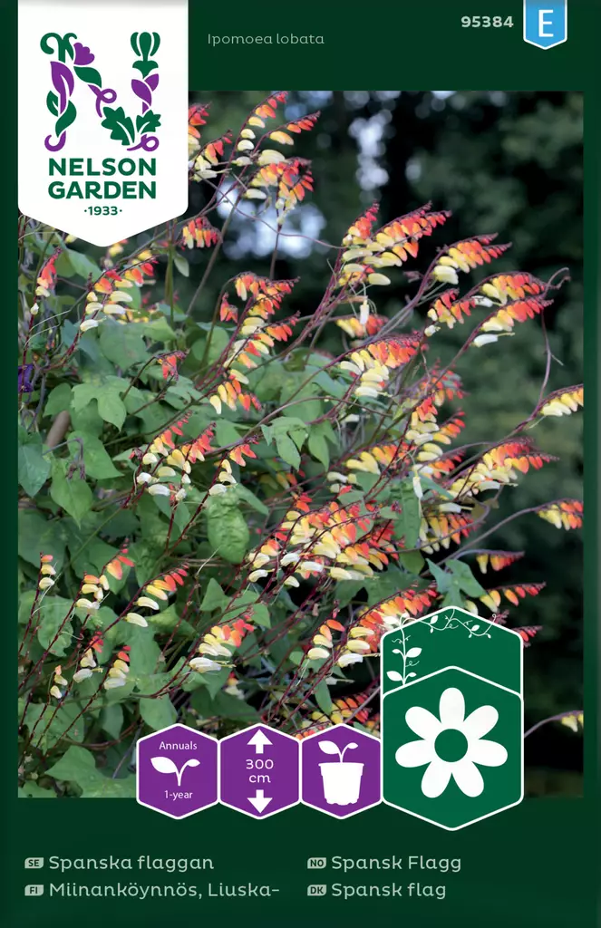 Liuskamiinanköynnös siemen, Nelson Garden - Kukkien siemenet - 7312600953840 - 1