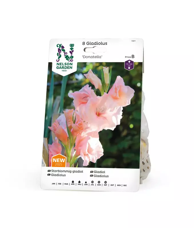 Miekkalilja 'Donatella', Nelson Garden - Kukkasipulit - 7312600728110 - 1