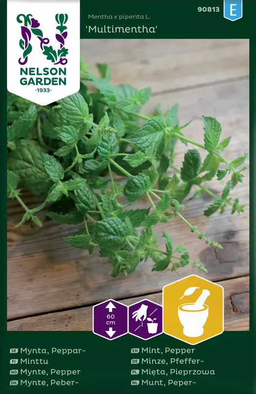 Minttu 'Multimentha' siemen, Nelson Garden - Yrttien siemenet - 7312600908130 - 1