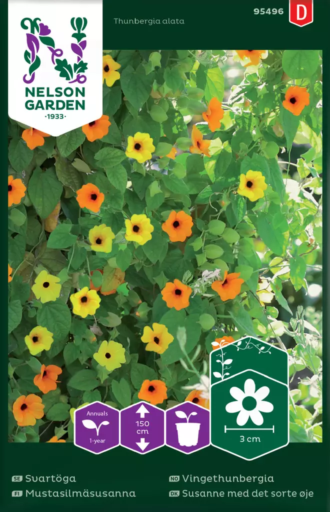Mustasilmäsusanna, väriseos, siemen, Nelson Garden - Kukkien siemenet - 7312600954960 - 1