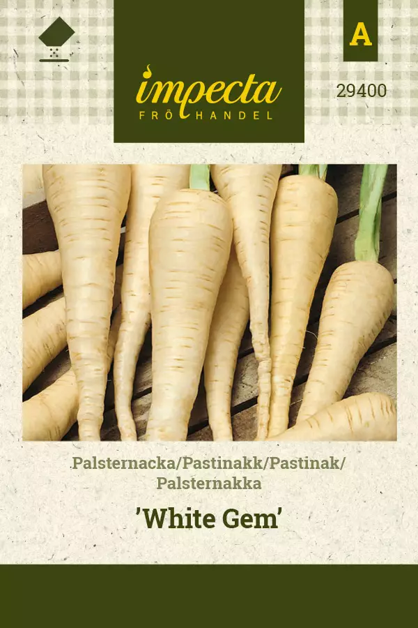 Palsternakka 'White Gem', siemen, Impecta - Vihannesten siemenet - 7332756294000 - 1