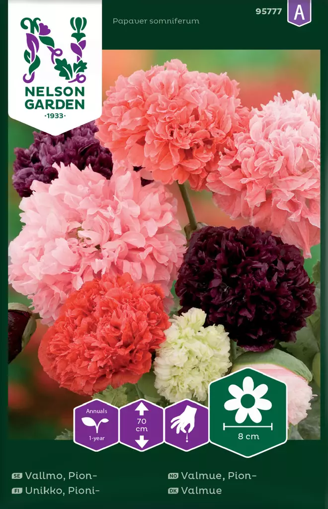 Pioniunikko, väriseos, siemen, Nelson Garden - Kukkien siemenet - 7312600957770 - 1