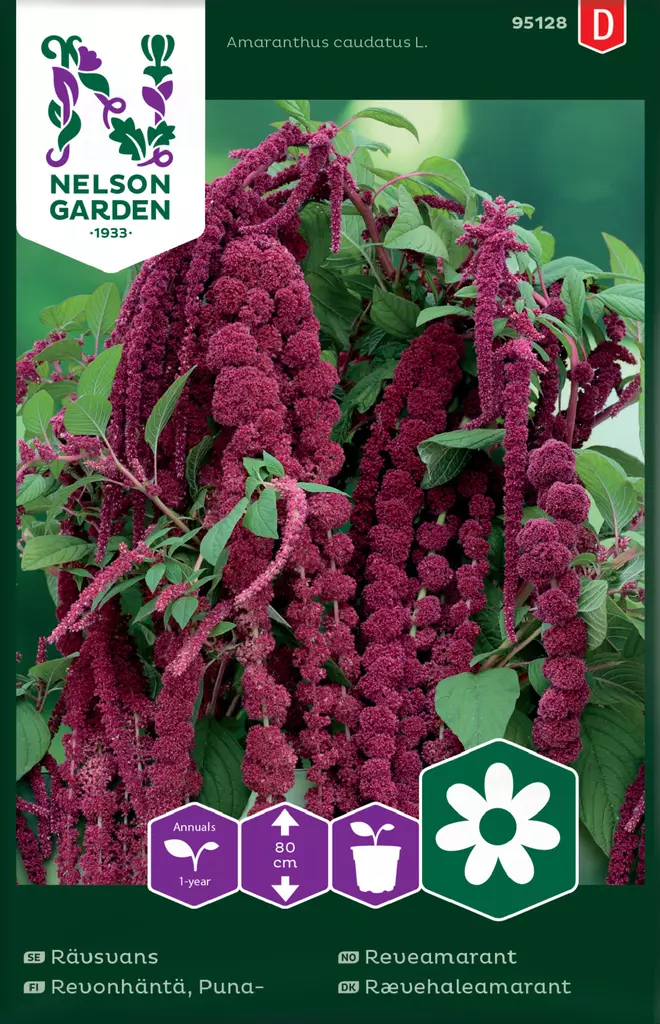 Punarevonhäntä siemen, Nelson Garden - Kukkien siemenet - 7312600951280 - 1