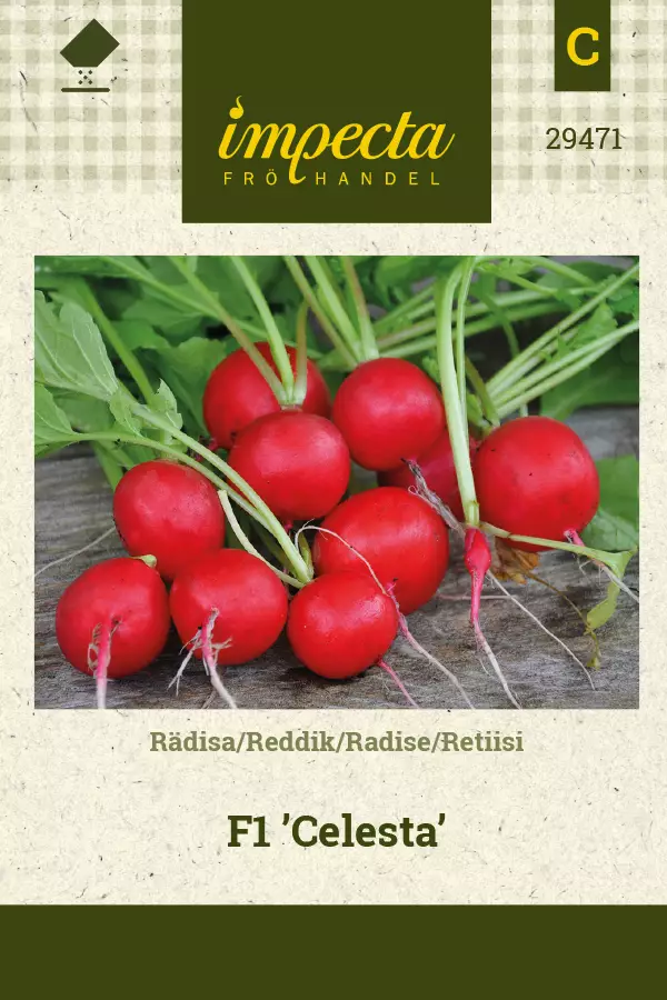 Retiisi 'Celesta' F1, siemen, Impecta - Vihannesten siemenet - 7332756294710 - 1