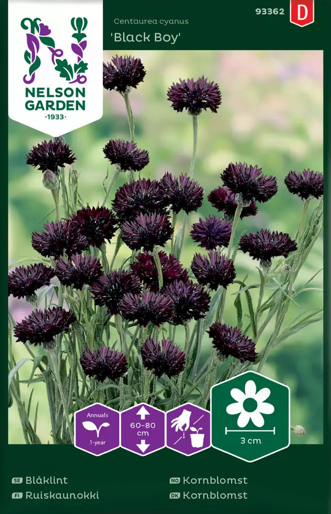 Ruiskaunokki 'Black Boy' siemen, Nelson Garden - Kukkien siemenet - 7312600933620 - 1