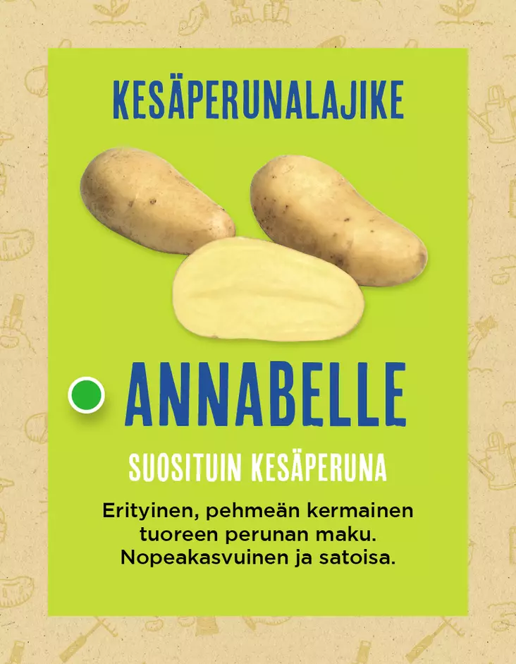 Siemenperuna Annabelle 2,5 kg - Varhaisperunat - 6420617360740 - 1