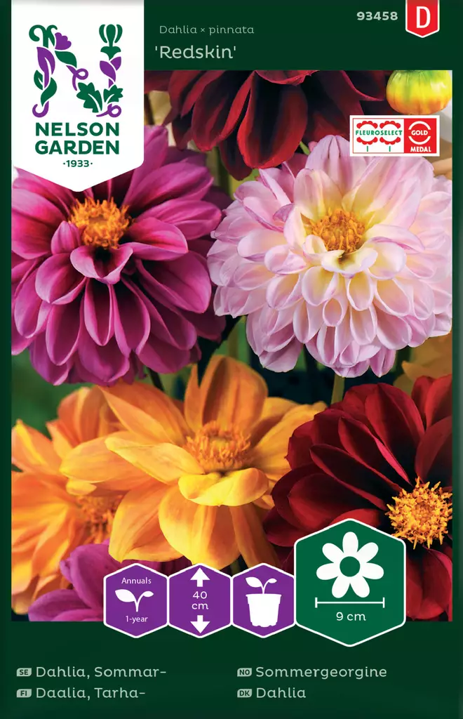 Tarhadaalia 'Redskin' väriseos, siemen, Nelson Garden - Annossiemenet - 7312600934580 - 1