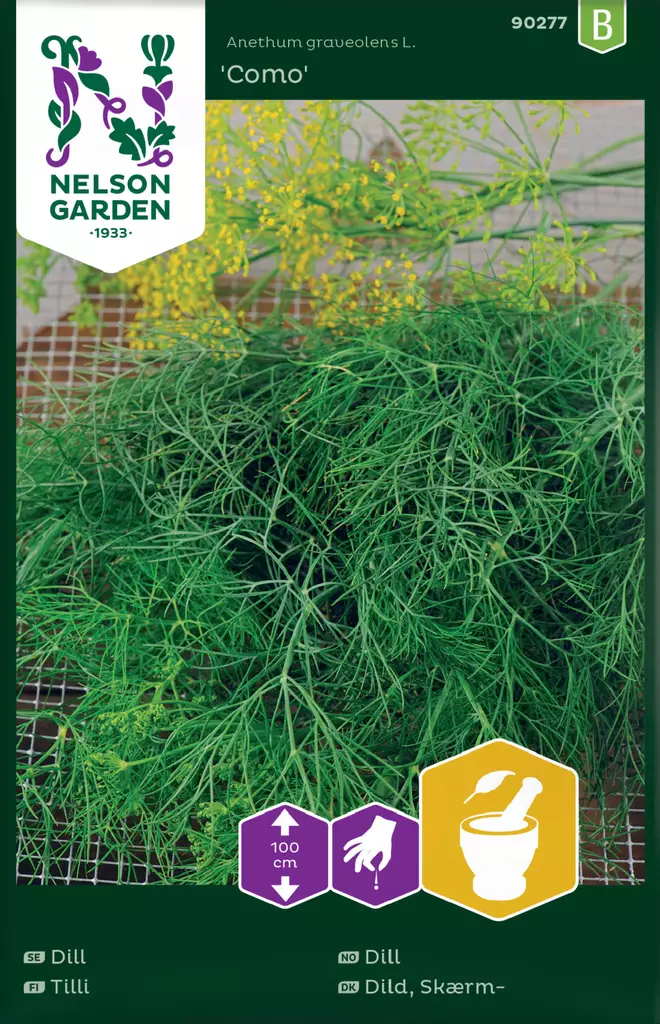 Tilli 'Como' siemen, Nelson Garden - Yrttien siemenet - 7312600902770 - 1