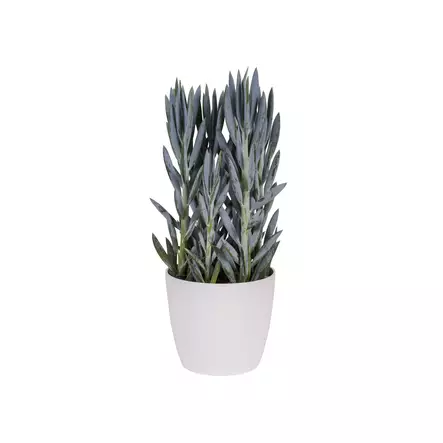 Elho Brussels Round Diamond valkoinen suojaruukku, 25 cm - Sisäruukut - 8711904273781 - 2