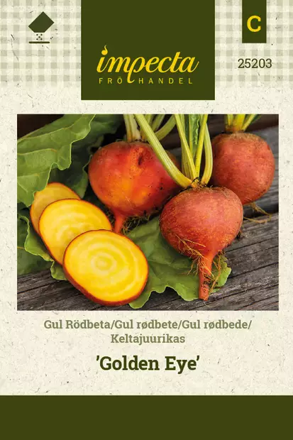 Keltajuurikas 'Golden Eye', siemen, Impecta - Vihannesten siemenet - 7332756252031 - 1