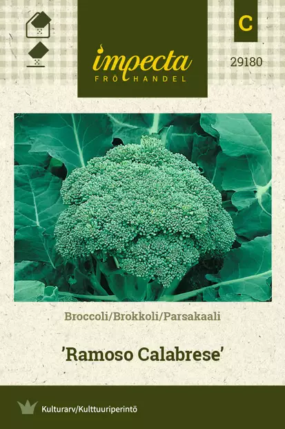 Parsakaali 'Ramoso Calabrese', siemen, Impecta - Vihannesten siemenet - 7332756291801 - 1