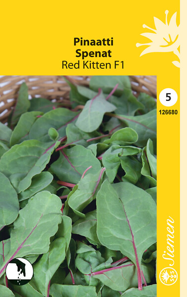 Pinaatti 'Red Kitten' F1 siemen Schetelig - Annossiemenet - 6415151266801 - 1