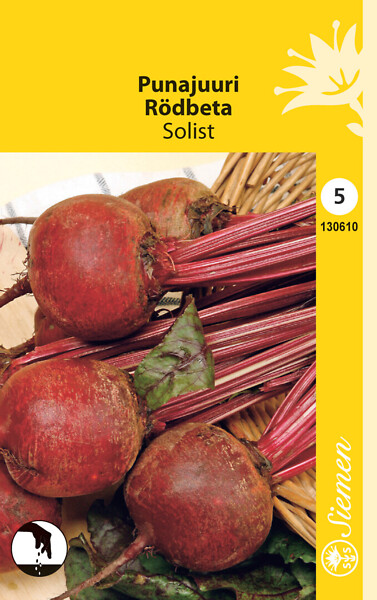 Punajuuri 'Solist' siemen Schetelig - Annossiemenet - 6415151306101 - 1