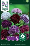 Harjaneilikka 'Mixed Double' siemenseos, Nelson Garden - Kukkien siemenet - 7312600934221 - 1