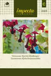 Keijunmekko, siemen, Impecta - Annossiemenet - 7332756204191 - 1