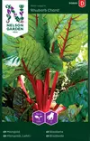 Lehtimangoldi 'Rhubarb Chard' siemen, Nelson Garden - Vihannesten siemenet - 7312600906891 - 1