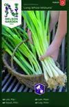 Pillisipuli 'Long White Ishikura' siemen, Nelson Garden - Vihannesten siemenet - 7323600906491 - 1