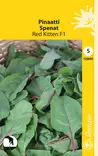 Pinaatti 'Red Kitten' F1 siemen Schetelig - Annossiemenet - 6415151266801 - 1