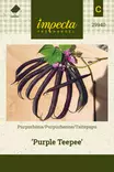 Taitepapu 'Purple Teepee', siemen, Impecta - Vihannesten siemenet - 7332756299401 - 1
